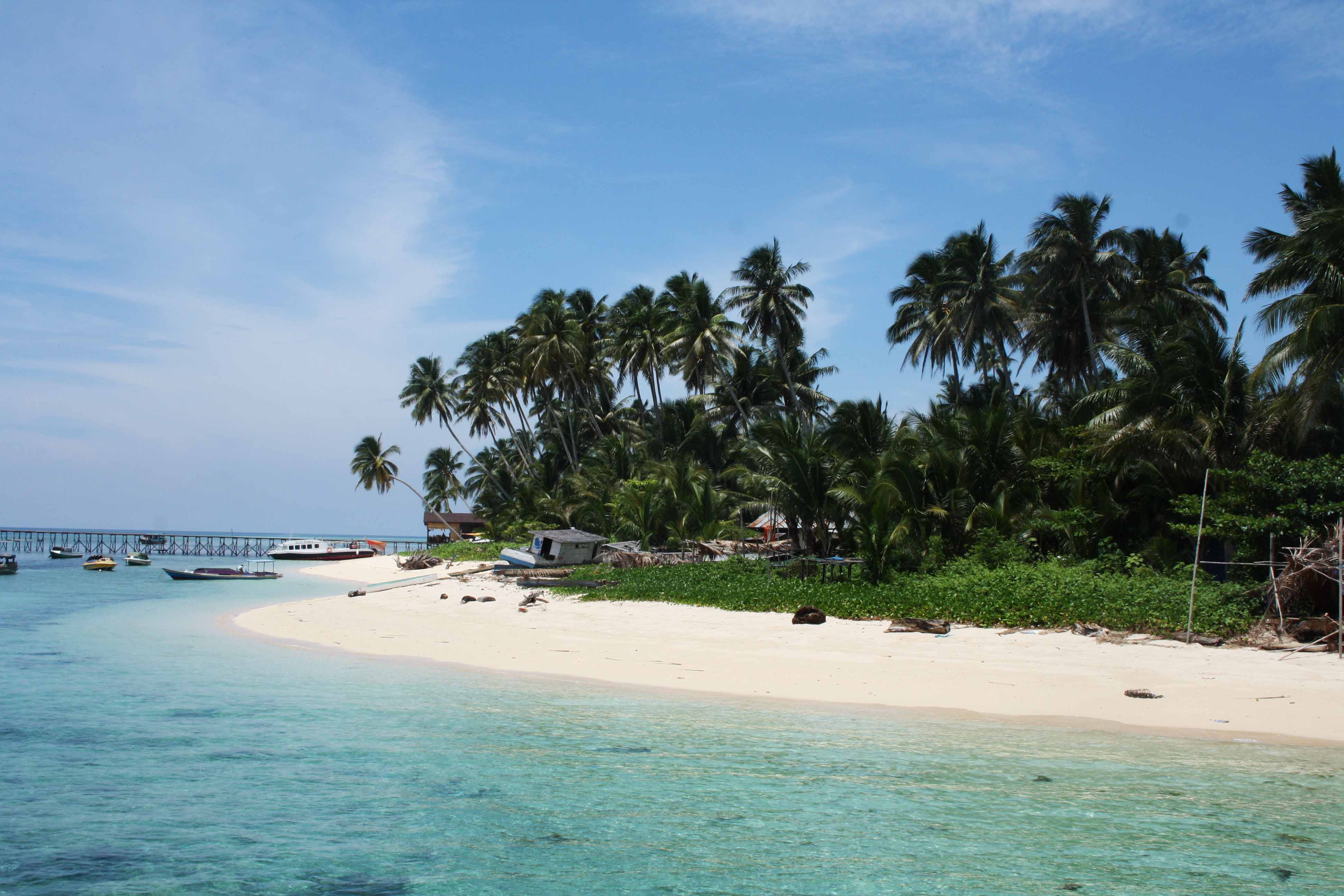 Indonesia Sebagai Surga Terumbu Karang Dunia