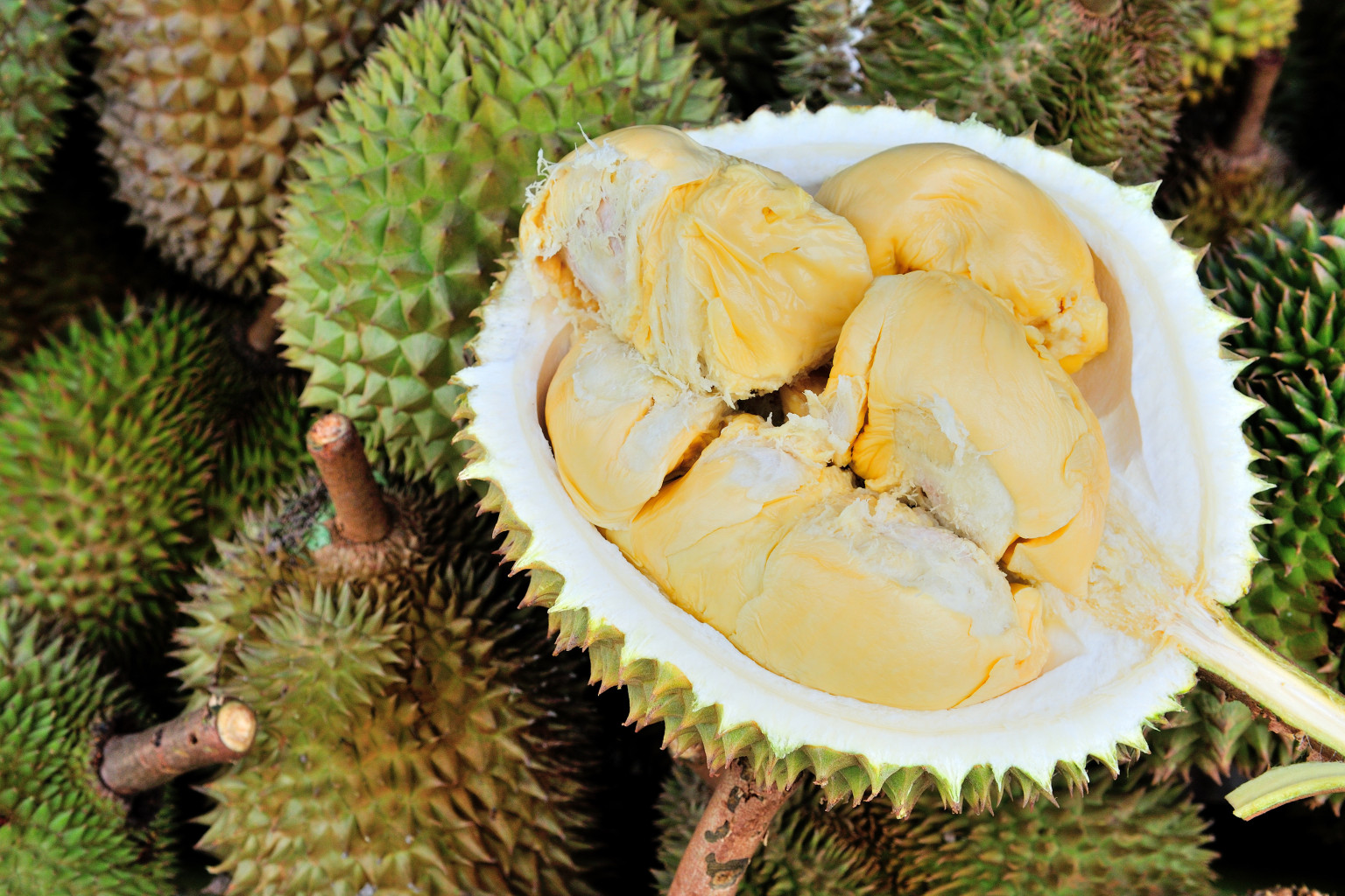 4 Tempat di Indonesia yang Sering Adakan Pesta Durian