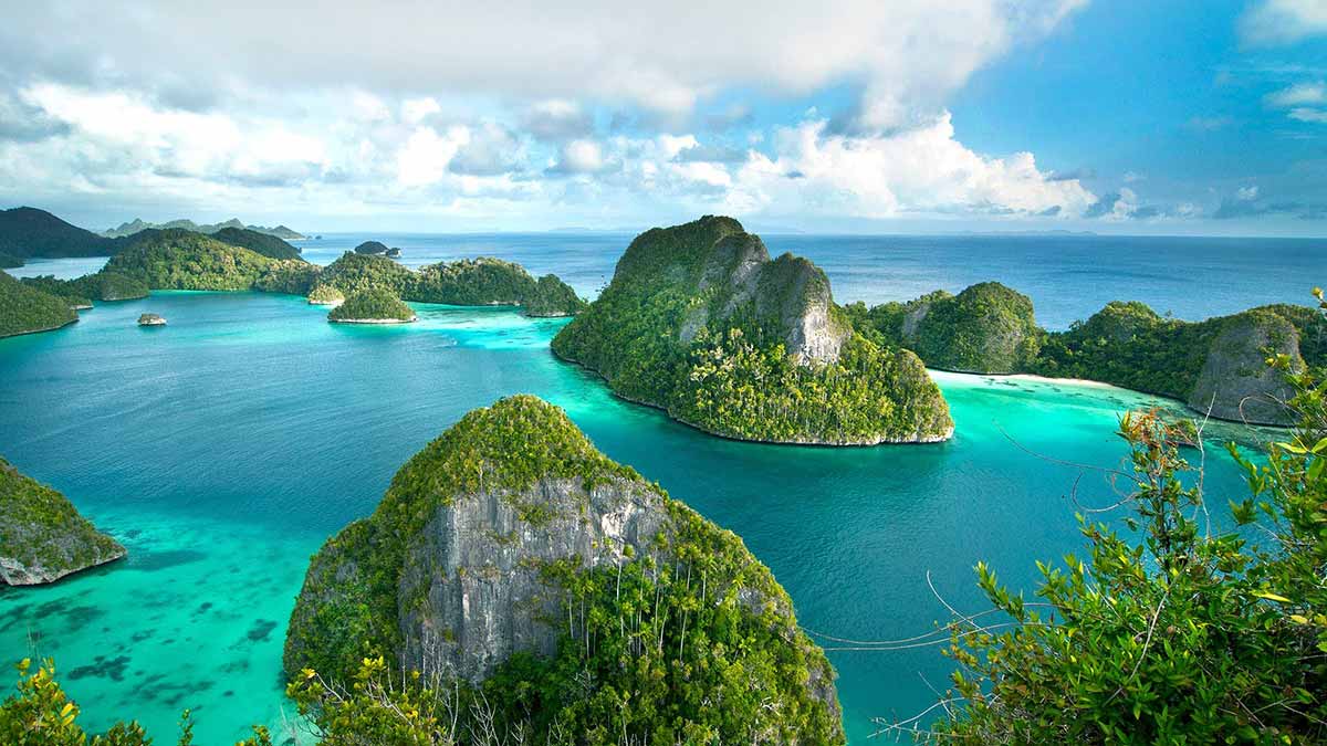 Find Your Best Experiences in Raja Ampat