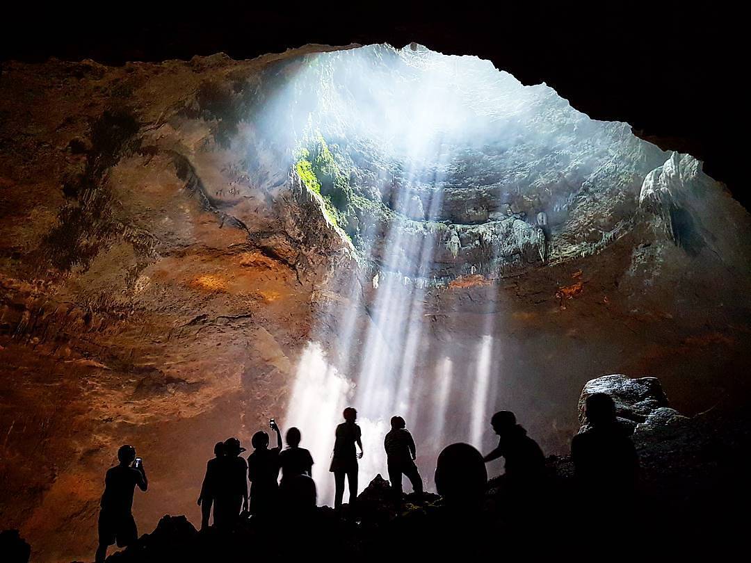 Melihat Pohon Purbakala di Goa Jomblang