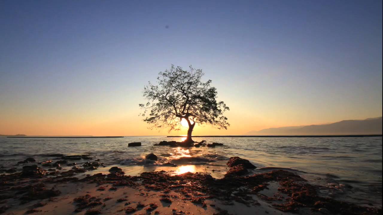 Surga Dunia di Maumere Nusa Tenggara Timur