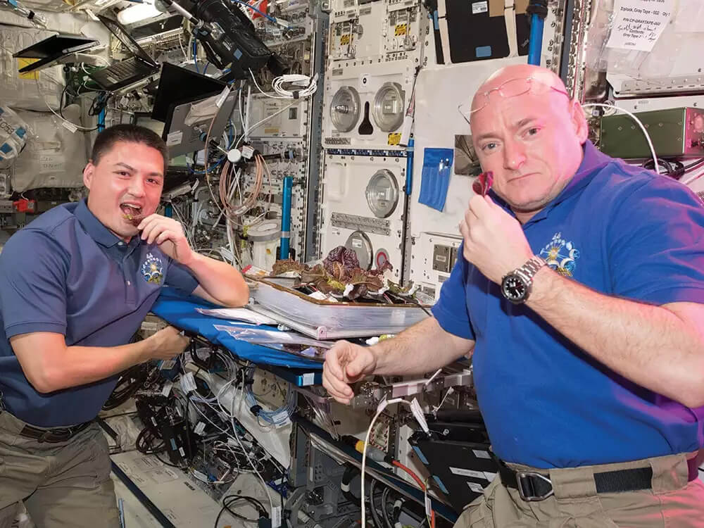 Nggak Sekadar di Film, NASA Serius Agar Tanaman Tumbuh Di Luar Angkasa