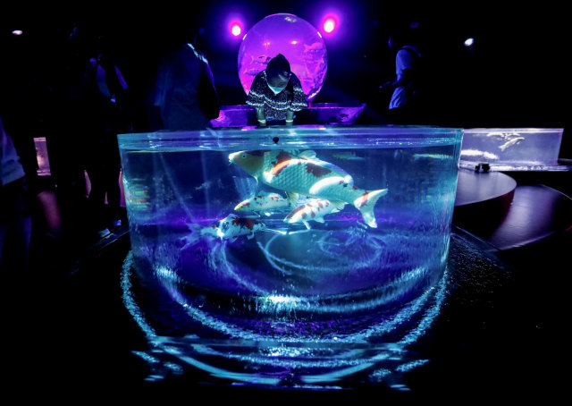 Instalasi Unik di Pameran Art Aquarium Museum 2020 Karya Seniman Jepang!