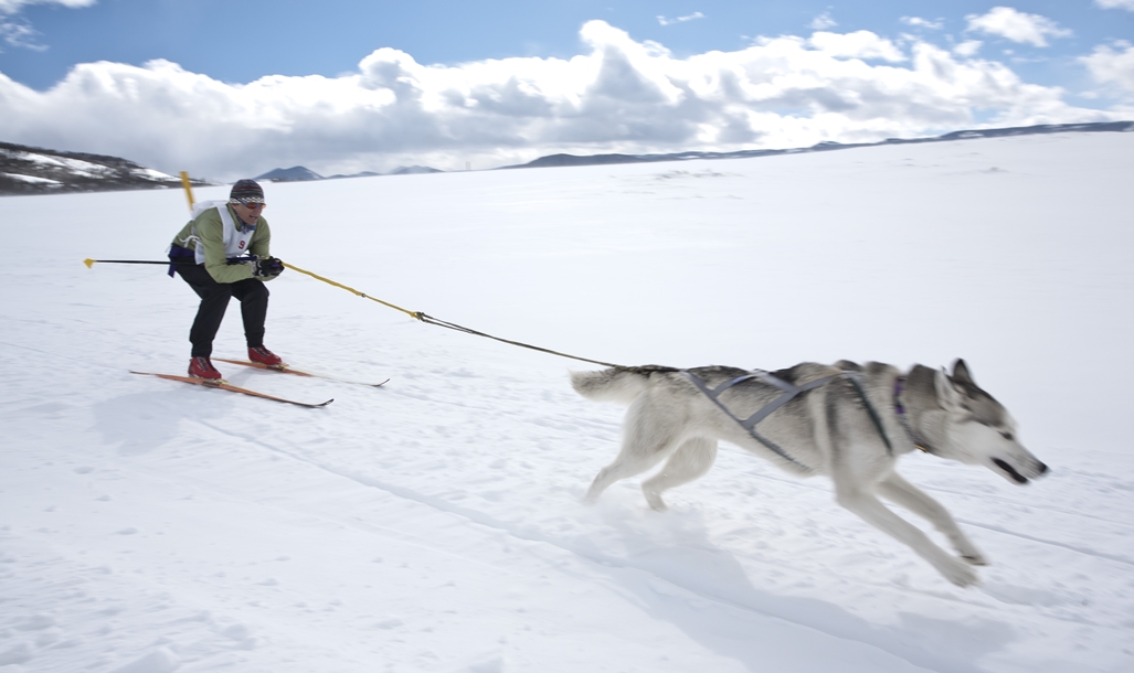 Berlomba bersama hewan kesayangan