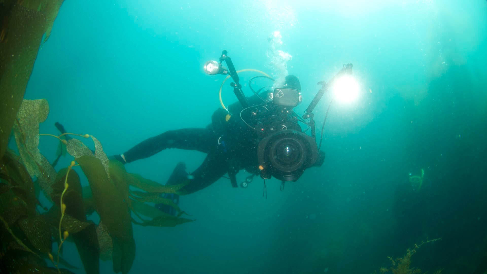 Film Dokumenter Para Fotografer Buta, The Art of Blind Photography