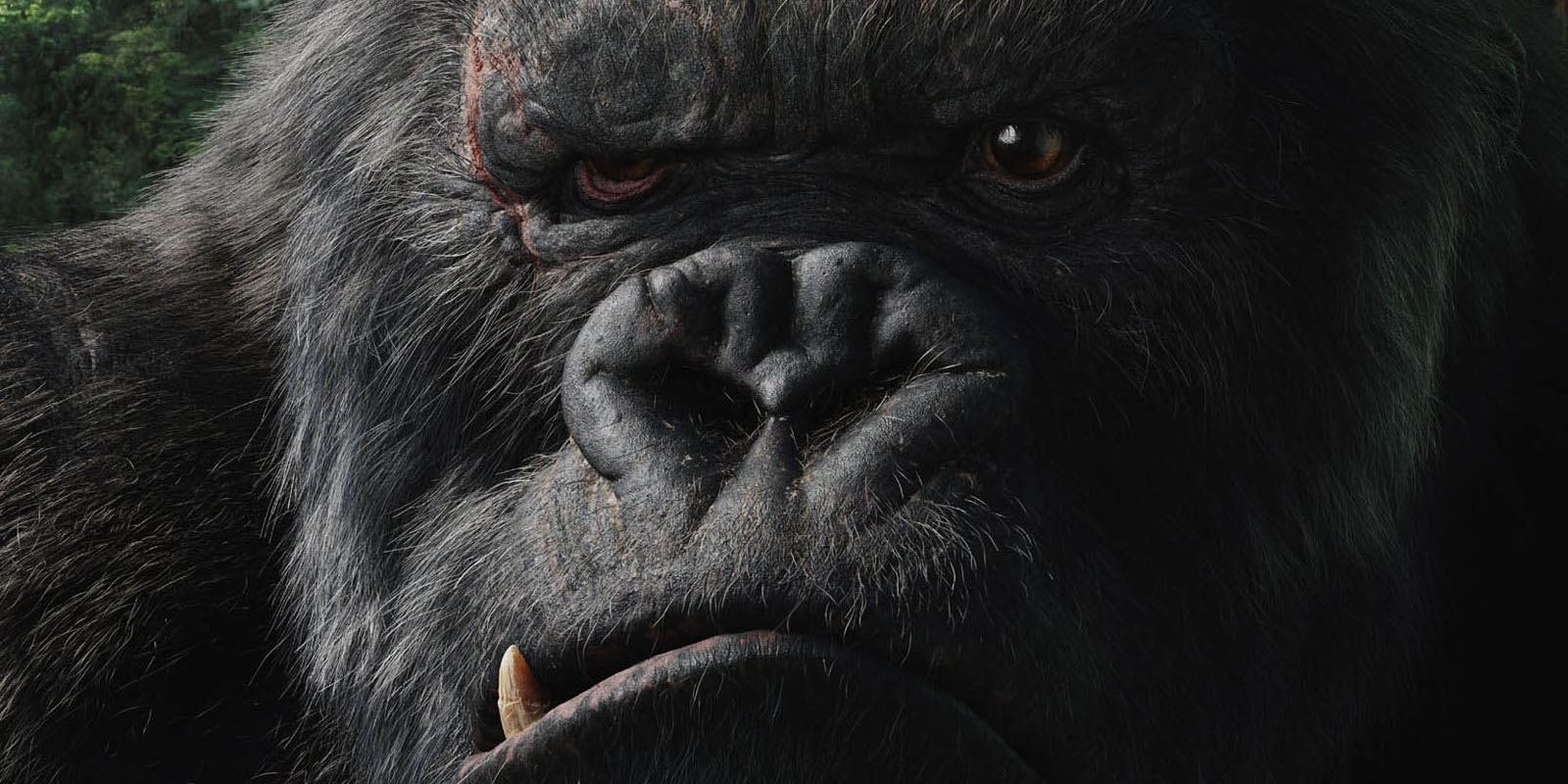 Ternyata Semua Orang Berharap Kepada Film Kong: Skull Island