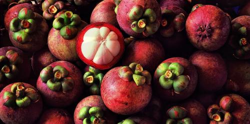 Kulit Manggis Bikin Meringis