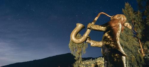 Kopdar Sambil Balapan Drone Bareng Micro Drone Race Indonesia