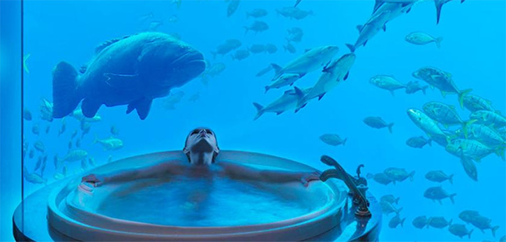 Coolest Bathroom in The World