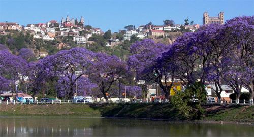 Madagascar: Not That Movie, But Still Awesome