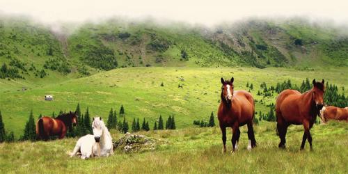 Beautiful Side of Romania