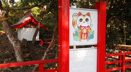 Tashirojima, Surganya Pecinta Kucing