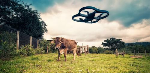 The Best Drone Photo