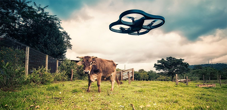 The Best Drone Photo