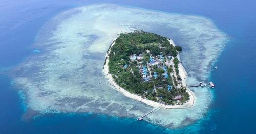 4 Alasan Lo Wajib Stay di Arborek Saat Berlibur di Raja Ampat