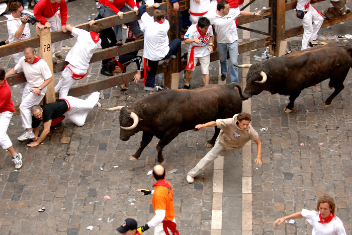 Running of the Bulls: Lari Dikejar Banteng Ganas	