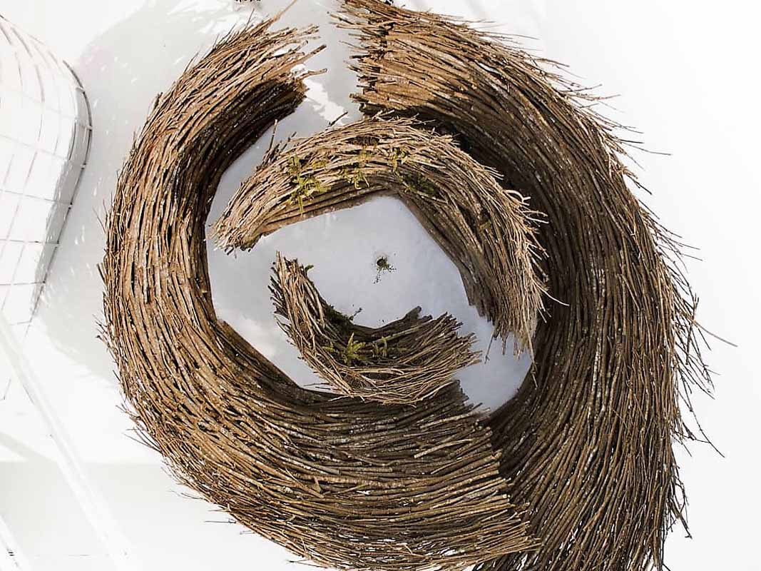 Whirlwind of Time Karya Andrita Yuniza Orbandi