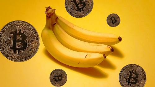 Bananacoin, Cryptocurrency yang Harganya Sama dengan 1 Kg Pisang