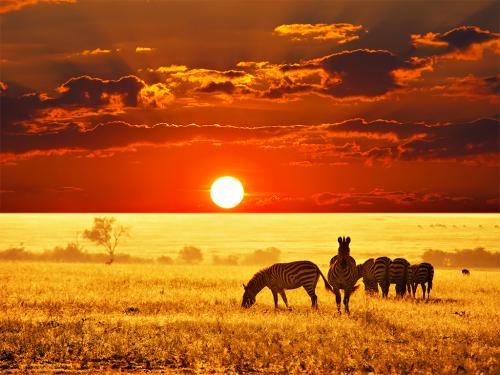 4 Tempat Rekreasi Alam Liar Terbaik