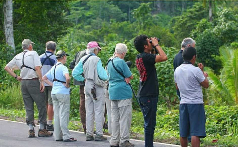 Pendataan burung liar di kawasan Jogja bersama kelompok pengamat burung Internasional
