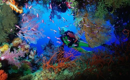 The Best Way to Explore Hidden Paradise Underwater