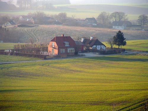Denmark, Negara Kecil dengan Industri Pangan Besar