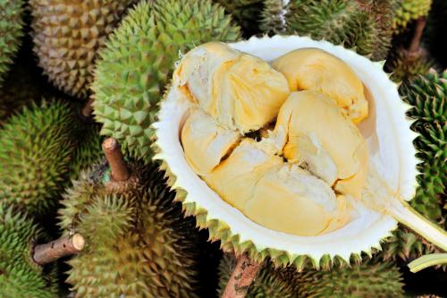 4 Tempat di Indonesia yang Sering Adakan Pesta Durian