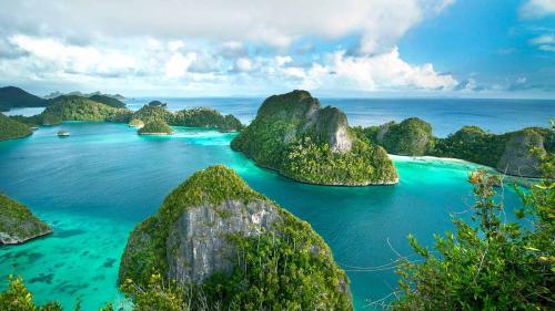 Find Your Best Experiences in Raja Ampat
