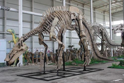 Sekarang Lo Berkesempatan Punya Fosil Dinosaurus Sendiri di Rumah!