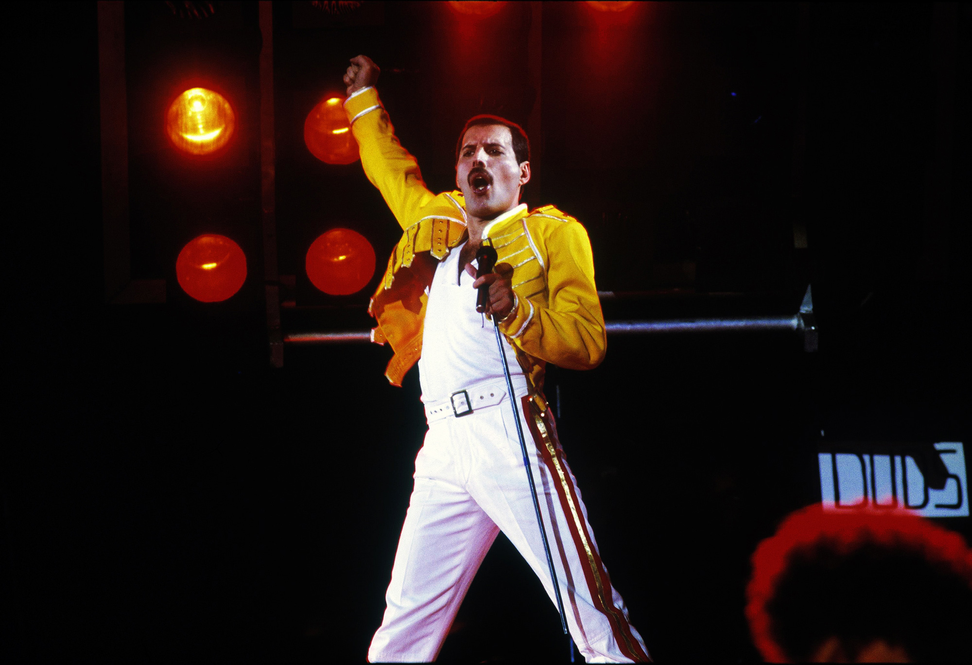 Ulang Tahun ke 70, Mendiang Freddie Mercury Dapat Hadiah Asteroid
