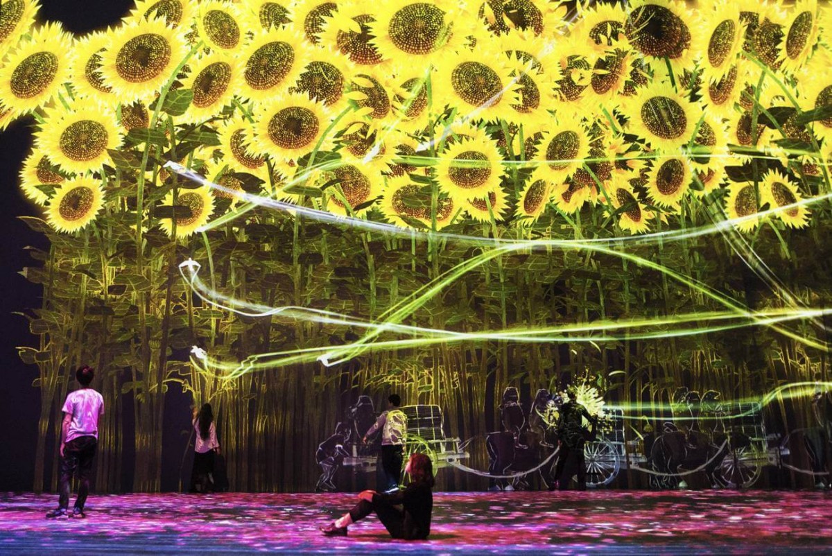 идеи для вдохновения. красивый фон бизнес. мультимедийная инсталляция. музей япония teamlab. мир электронного искусства.