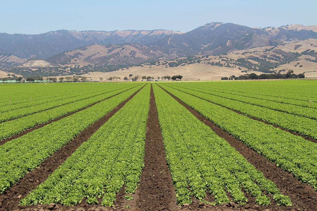 Menurunkan ongkos produksi 60% dan menaikkan keuntungan sampai 40%