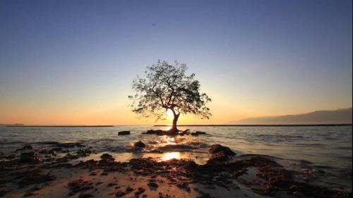 Surga Dunia di Maumere Nusa Tenggara Timur