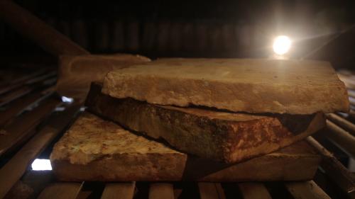 Adi Reza dan Cerita Di Balik Suksesnya Mycotech