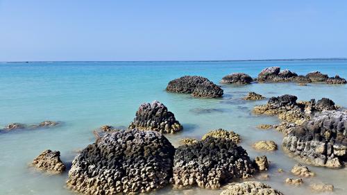 Mengapung Di Pantai Tureleto Nias