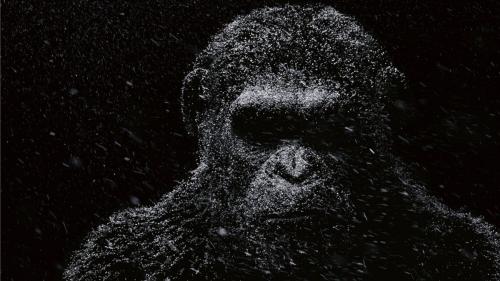 War for the Planet of The Apes, Jadi Film Pamungkas?