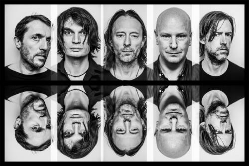 Unik, Band Radiohead Dijadikan Nama Spesies Semut yang Baru Ditemukan