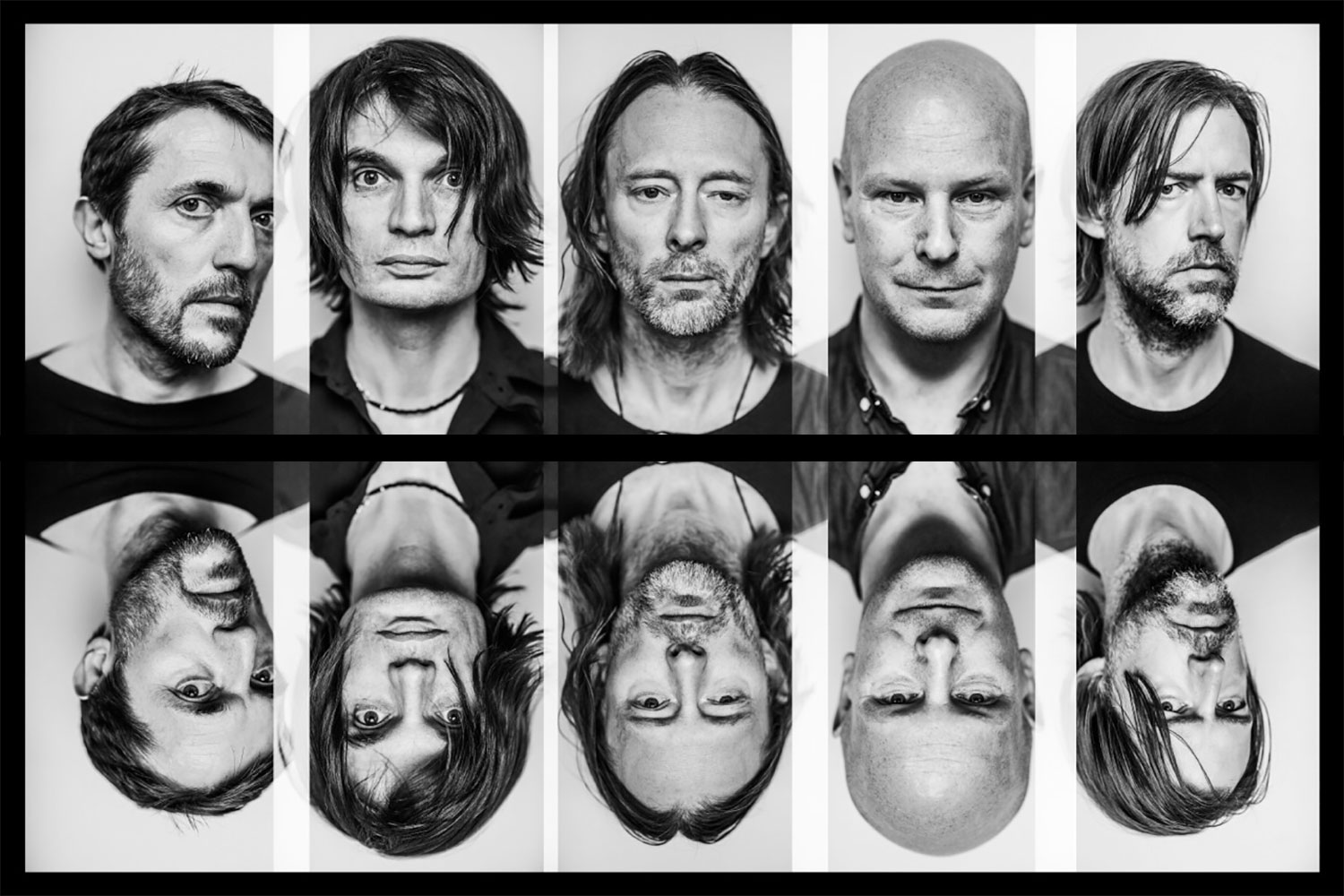 Unik, Band Radiohead Dijadikan Nama Spesies Semut yang Baru Ditemukan