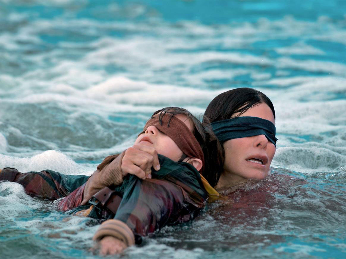 Tegang Bareng Sandra Bullock Di Bird Box