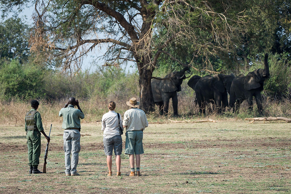 Bushcamp – Zambia