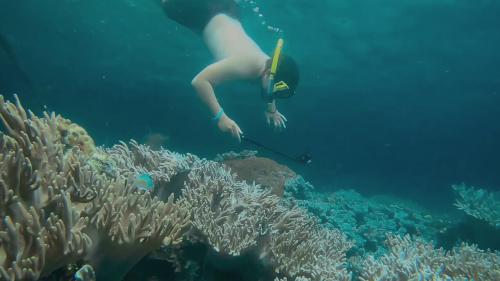 How To Shoot Underwater Photos Like A Pro 