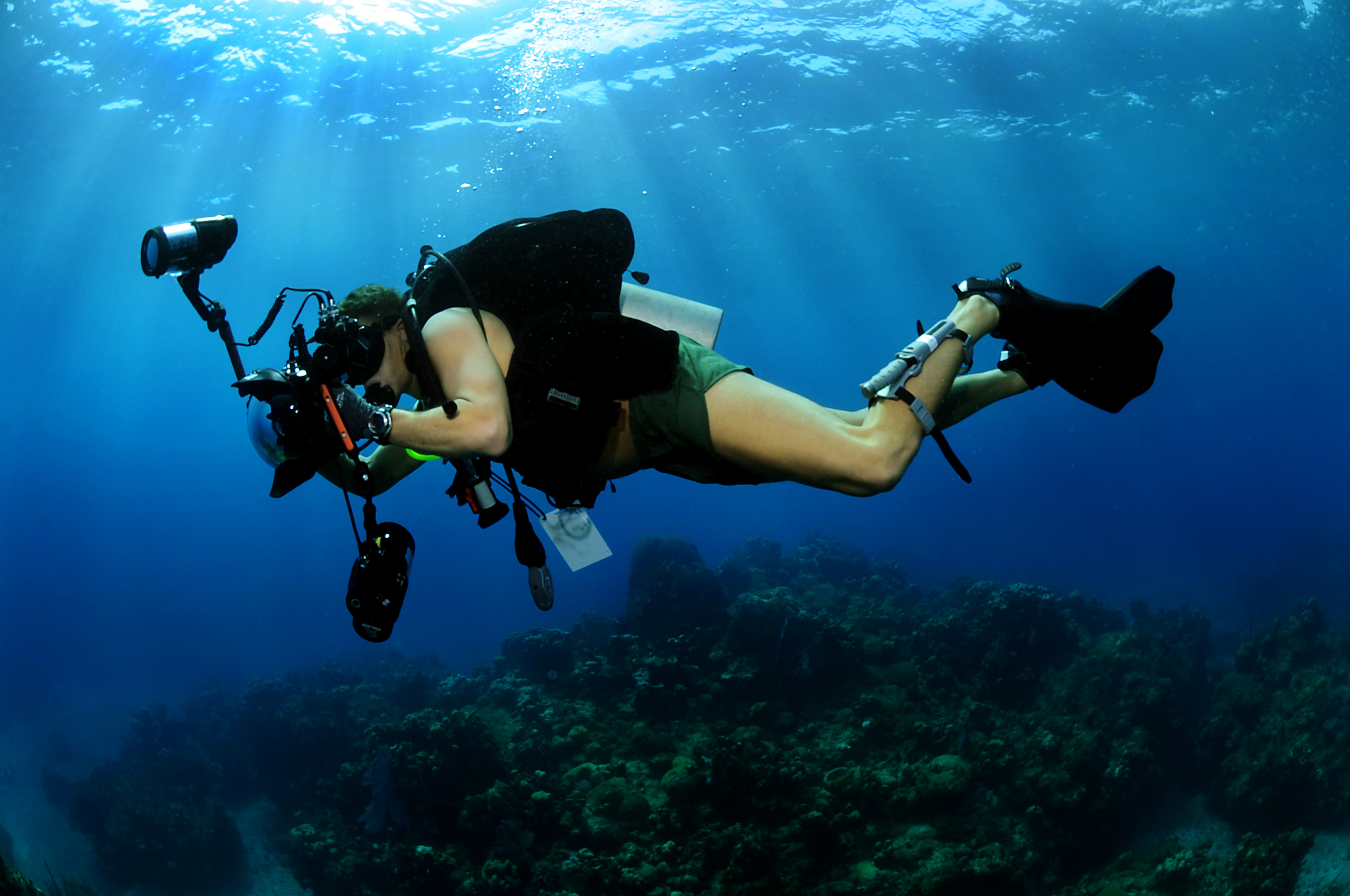 Apa Sih Underwater photography itu?