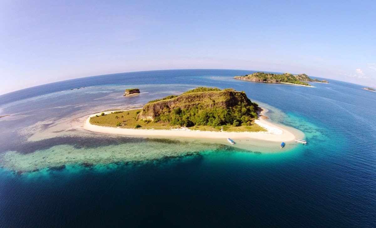 Flores, Surga Para Pecinta Burung