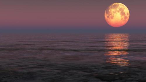 Ketinggalan Supermoon Kemarin? Ini 4 Cara Melihat Bulan Secara Sempurna